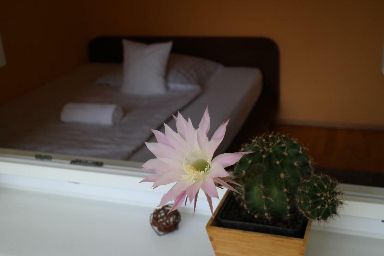 Bamboo Wellness Apartment 시오포크 외부 사진